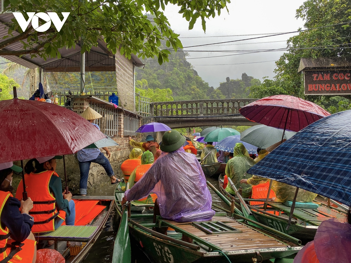 Hàng nghìn du khách đội mưa ngắm lúa trong ngày khai hội 