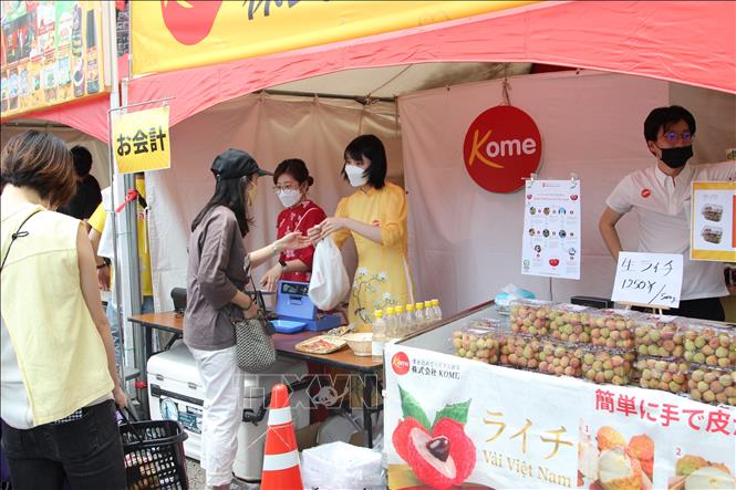 Khai mạc Lễ hội Việt Nam tại Nhật Bản lần thứ 14 Chú thích ảnh