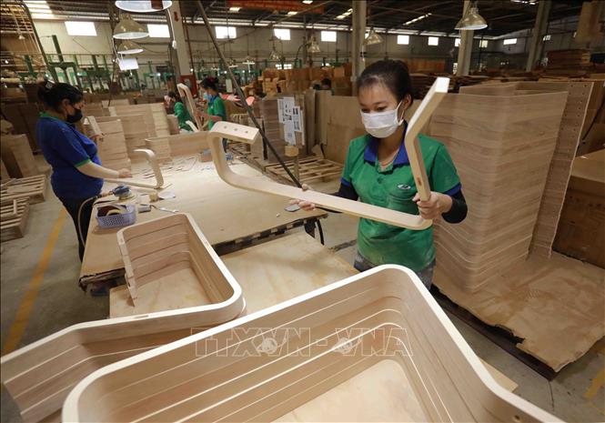 Ngành gỗ ứng phó trước nguy cơ gia tăng phòng vệ thương mại Chú thích ảnh