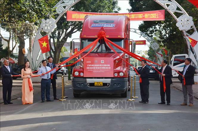 Xuất khẩu container mắc ca Krông Năng chính ngạch đầu tiên sang Nhật Bản