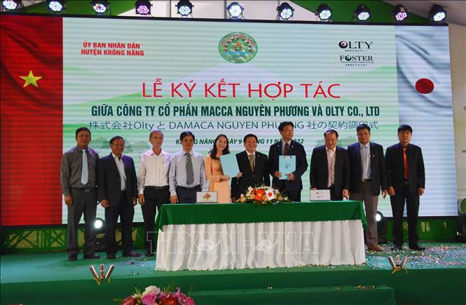 Xuất khẩu container mắc ca Krông Năng chính ngạch đầu tiên sang Nhật Bản Chú thích ảnh