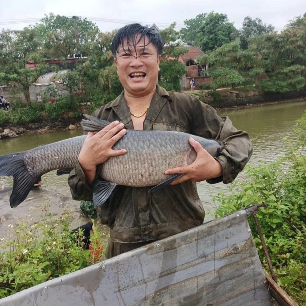 "Phiên chợ" lạ bán cá không cần cân ở Bắc Giang "Phiên chợ" lạ bán cá không cần cân ở Bắc Giang