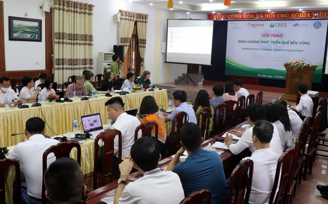 Quang cảnh hội thảo (Ảnh: Báo Yên Bái online) Quang cảnh hội thảo (Ảnh: Báo Yên Bái online)