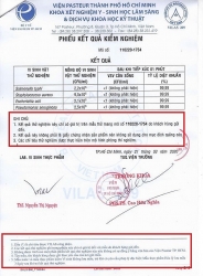 vu lua dao hon 3 ty dong qua dien thoai truy tim doi tuong 20 tuoi