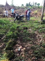 binh phuoc da xac dinh danh tinh thi the khong dau trong vuon dieu