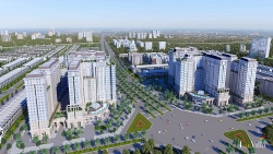 cuong che hoa don suc ep lon cho doanh nghiep tu cuc thue nghe an