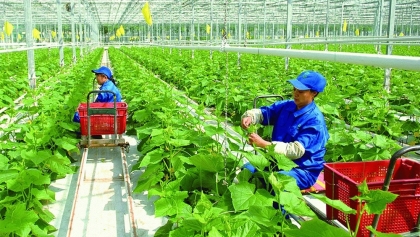 薄辽省：加强扩大有机农业生产规模