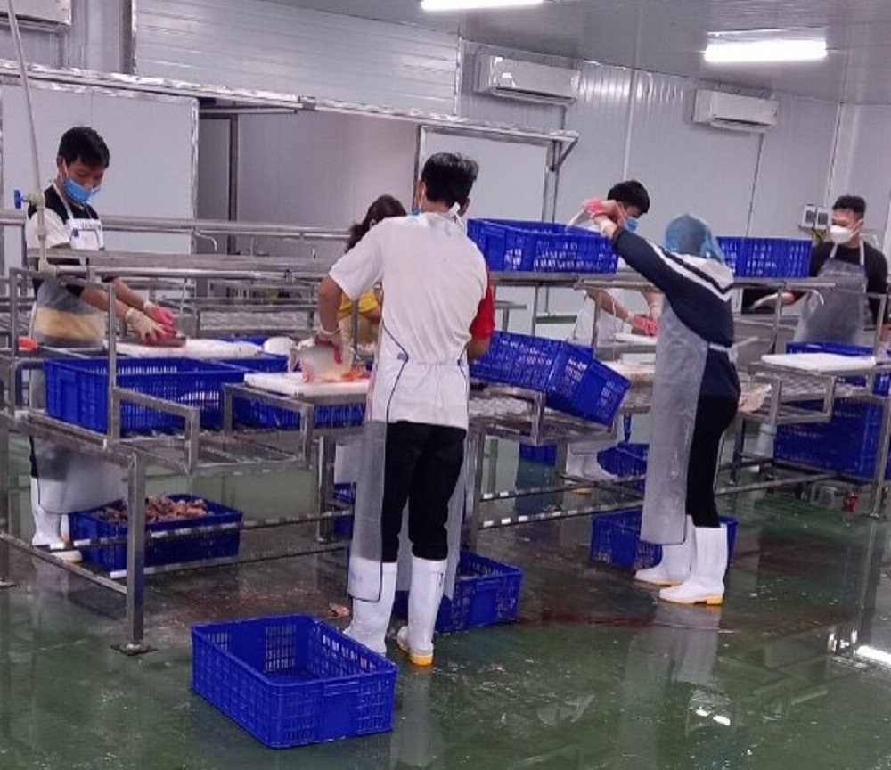 大昂高科技水产合作社的加工规程。 大昂高科技水产合作社的加工规程。