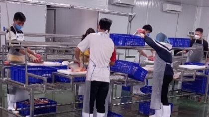 提高首都人民农产品供应链的价值