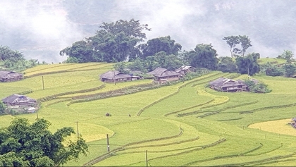 充分挖掘现有的北部山区和丘陵地区的经济发展潜力