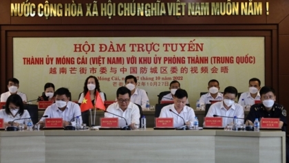 越南芒街市委与中国防城区委举行视频会谈