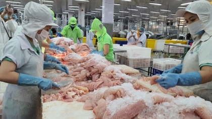 促进建立驻华的第一越南水产交易中心