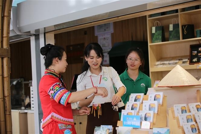 越南游客（中）出境参观景观区（图：越通社）