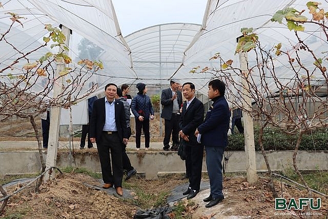 Đại học Nông-Lâm Bắc Giang chú trọng hợp tác với các trường Trung Quốc Đại học Nông-Lâm Bắc Giang chú trọng hợp tác với các trường Trung Quốc