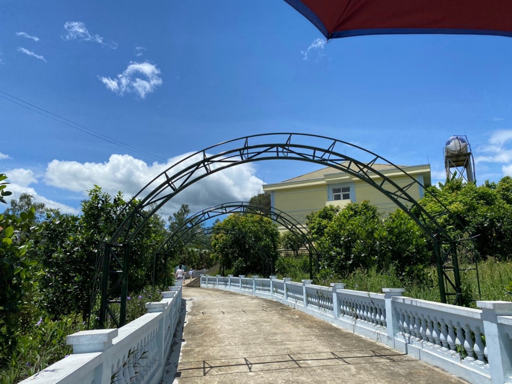 Cần nỗ lực chăm lo đến các nạn nhân chất độc da cam ngay cả trong thời bình Cần nỗ lực chăm lo đến các nạn nhân chất độc da cam ngay cả trong thời bình