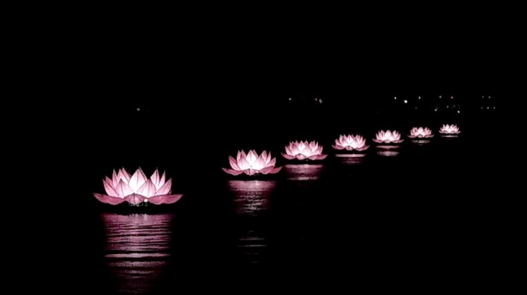 Chiêm ngưỡng 7 đài hoa sen hồng trên dòng Hương kính mừng Đại lễ Phật Đản chiem nguong 7 dai hoa sen hong tren dong huong kinh mung dai le phat dan