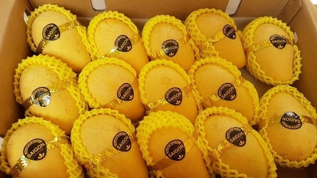 Vietnam officially begins exporting its mangoes to the US market after 10 years of discussion. Photo: VEN 3817-mango-imports-from-vietnam-1