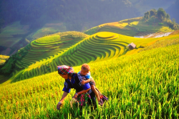 Mu Cang Chai (Yen Bai Province) strives to quickly become a tourist district Mu Cang Chai (Yen Bai Province) strives to quickly become a tourist district