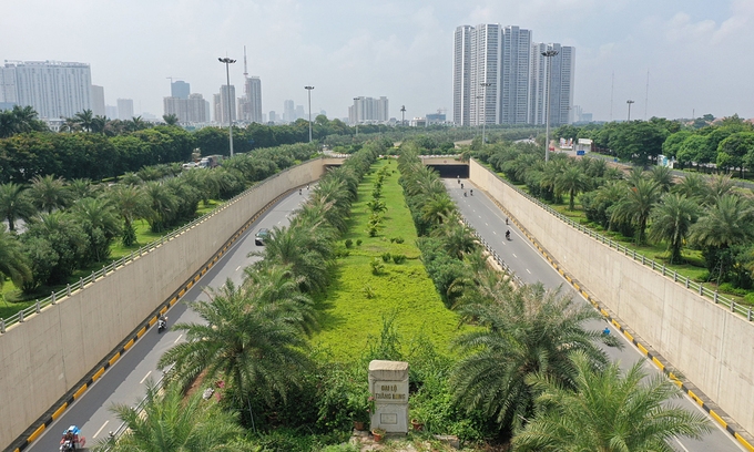 Hanoi to be proud of itself over tree planting success Hanoi to be proud of itself over tree planting success