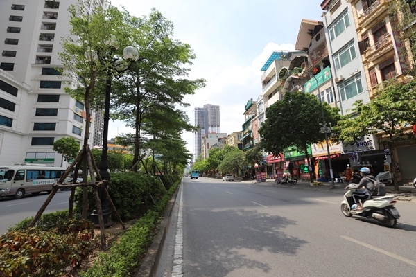 Hanoi to be proud of itself over tree planting success Hanoi to be proud of itself over tree planting success