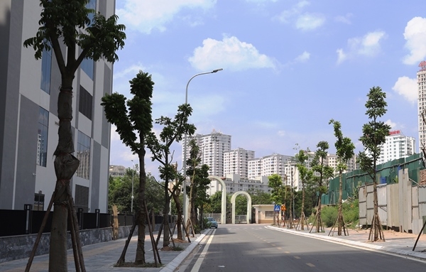 Hanoi to be proud of itself over tree planting success Hanoi to be proud of itself over tree planting success