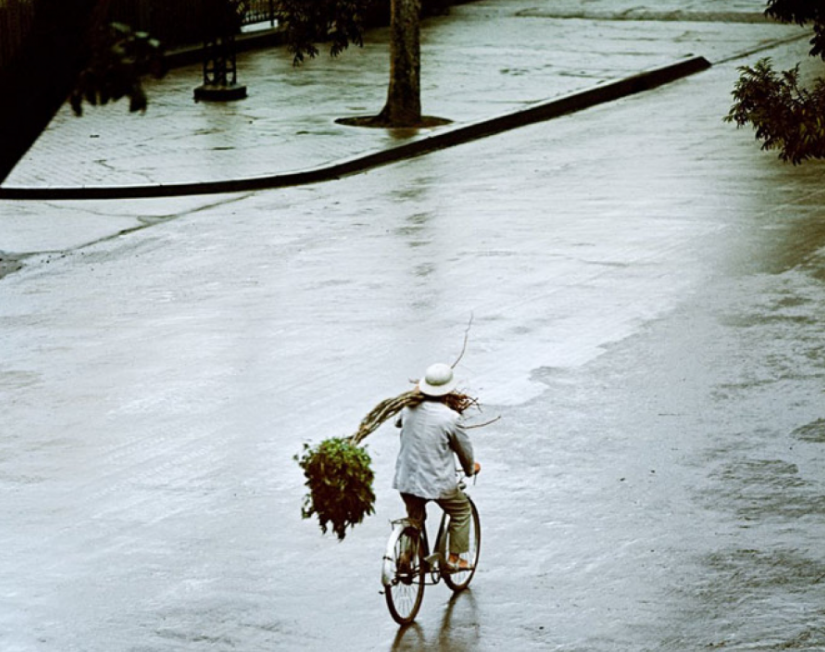 The German photographer who recorded Hanoi in wartime The German photographer who recorded Hanoi in wartime