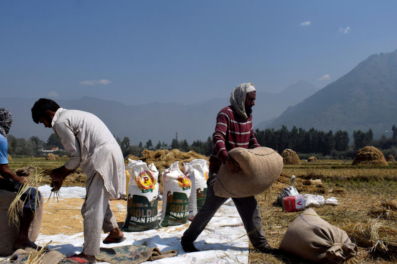 vietnam buys indian rice for first time in decades