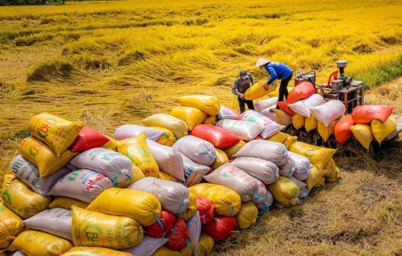 Vietnam's key exports to Malaysia include rice, fruits and vegetables, aquatic products, coffee and pepper. 