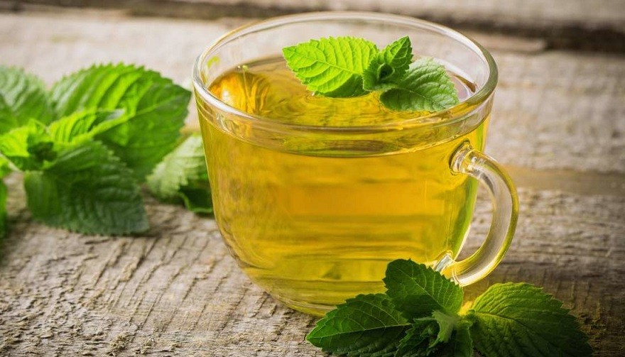 Best Herbal Teas to Bring When Traveling Best Herbal Teas to Bring When Traveling