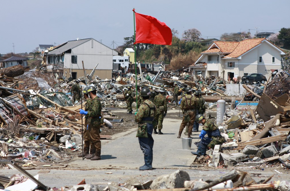 Ten years passed since "2011 earthquake off the Pacific coast of Tōhoku": Flowers has bloomed Ten years passed since "2011 earthquake off the Pacific coast of Tōhoku": Flowers has bloomed