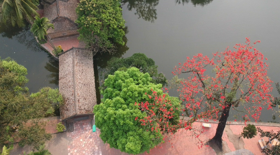 undefined 4310-capture9