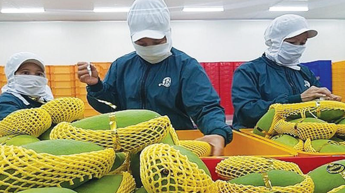 Vietnamese exports to US enjoy sharp increase Vietnamese exports to US enjoy sharp increase
