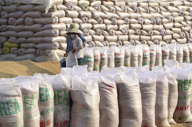 Vietnamese exports to US enjoy sharp increase Vietnamese exports to US enjoy sharp increase