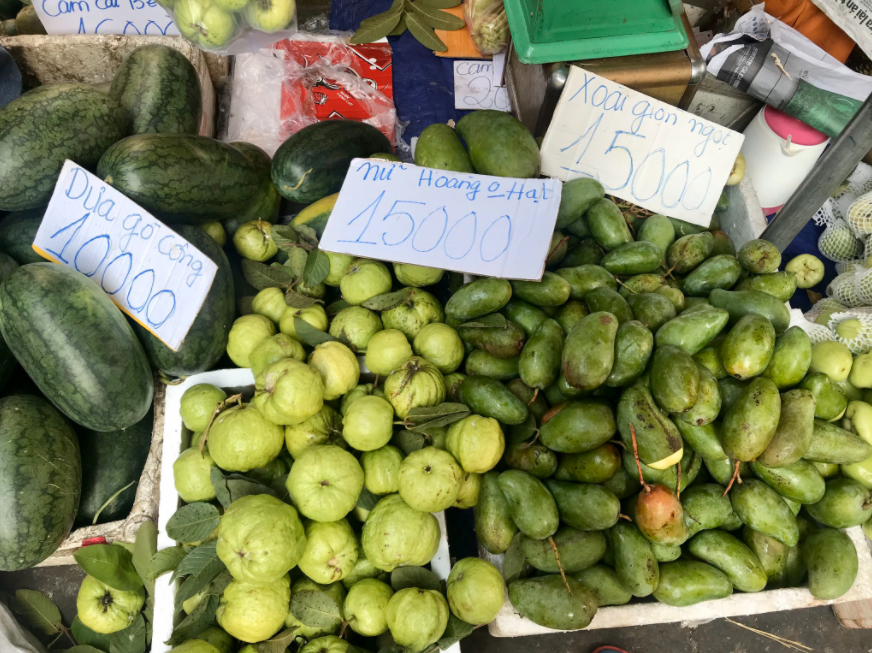 Vietnam mango exporters face stress as China licenses Cambodian mango imports Vietnam mango exporters face stress as China licenses Cambodian mango imports