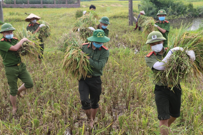 Police officers help people in quarantine areas harvest crops Police officers help people in quarantine areas harvest crops