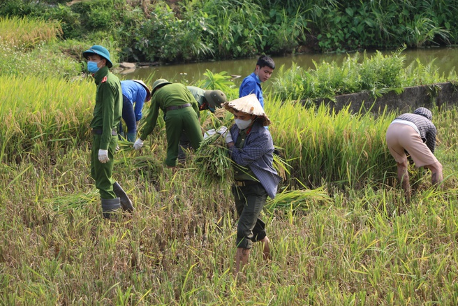 Police officers help people in quarantine areas harvest crops Police officers help people in quarantine areas harvest crops