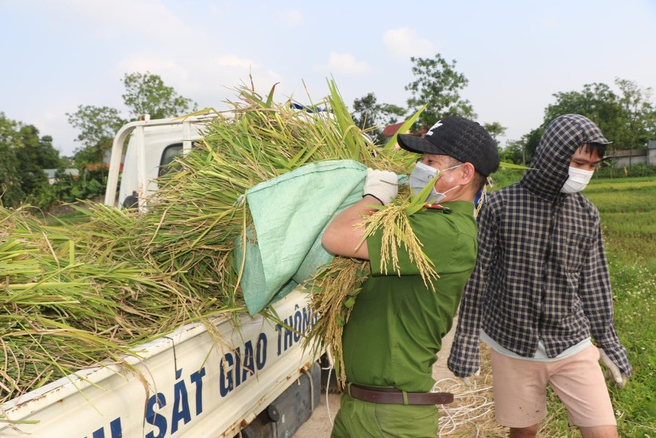 Police officers help people in quarantine areas harvest crops Police officers help people in quarantine areas harvest crops