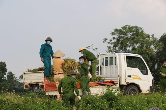 Police officers help people in quarantine areas harvest crops Police officers help people in quarantine areas harvest crops