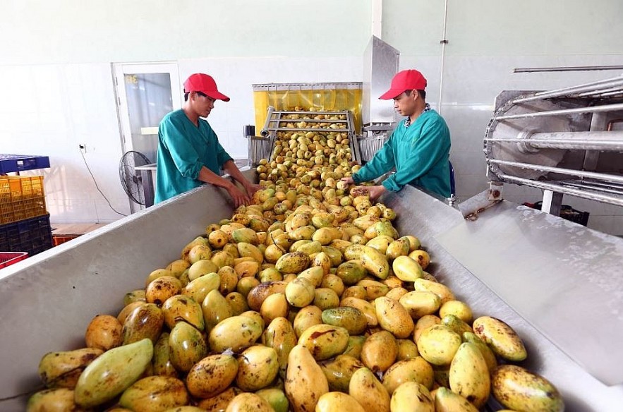 Vietnam Business & Weather Briefing (June 11): Rain continues in north and central regions. Vietnam Business & Weather Briefing (June 11): Rain continues in north and central regions.