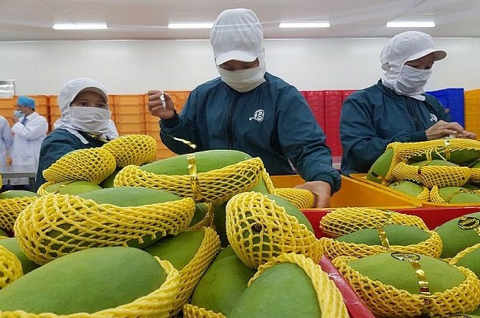 UK represents a potential export market for Vietnamese fruit and vegetables UK represents a potential export market for Vietnamese fruit and vegetables