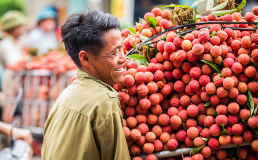 UK represents a potential export market for Vietnamese fruit and vegetables UK represents a potential export market for Vietnamese fruit and vegetables