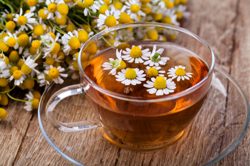 How To Make Great Herbal Tea How To Make Great Herbal Tea