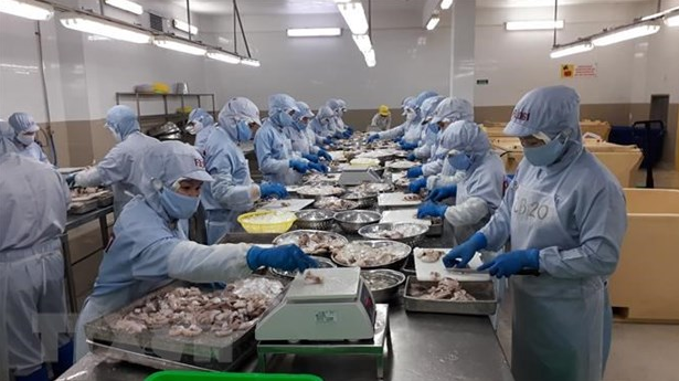 Vietnam's Export to EU Market Witnesses 15.5 percent Rise Vietnam's Export to EU Market Witnesses 15.5 percent Rise