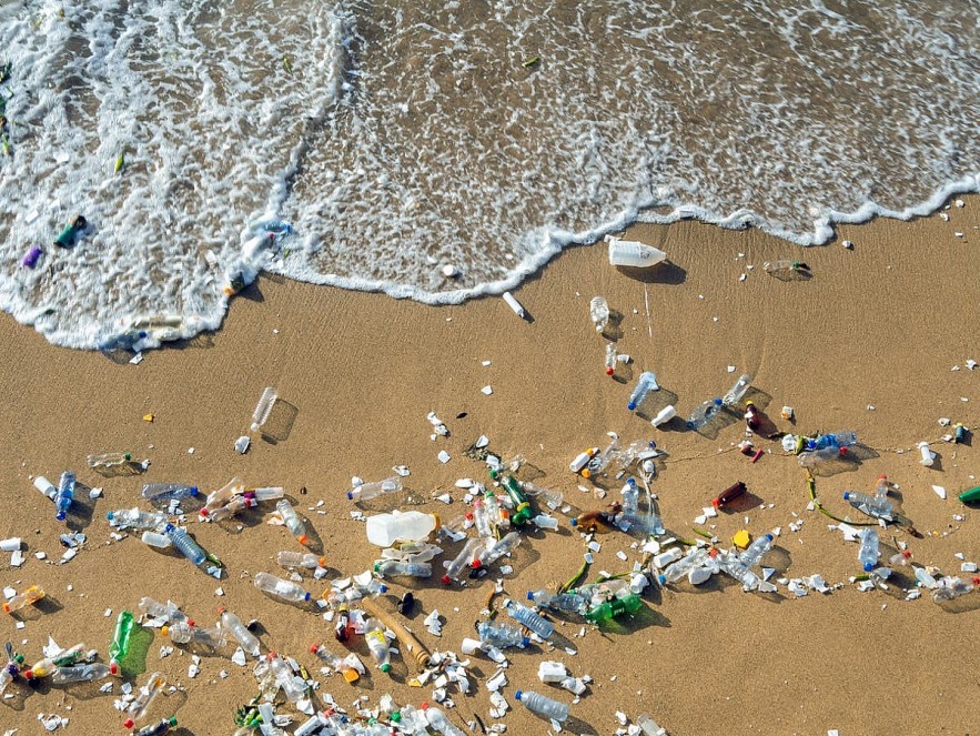 12 Most Polluting Companies in the World: Coca-Cola, PepsiCo, McDonalds, Heineken 12 Most Polluting Companies in the World: Coca-Cola, PepsiCo, McDonalds, Heineken