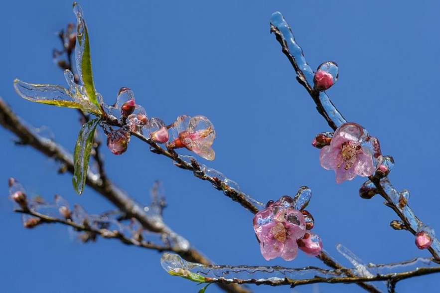 Photos: Vietnam's Remote Northeast Region Becomes a Winter Wonderland Photos: Vietnam's Remote Northeast Region Becomes a Winter Wonderland