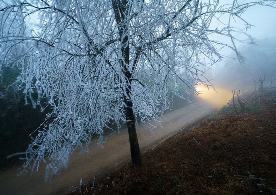 Photos: Vietnam's Remote Northeast Region Becomes a Winter Wonderland Photos: Vietnam's Remote Northeast Region Becomes a Winter Wonderland