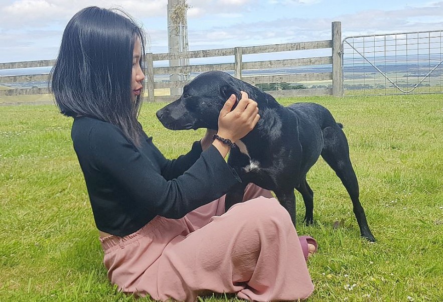 Vietnamese Wife Rescues Old Pets in Australia Vietnamese Wife Rescues Old Pets in Australia