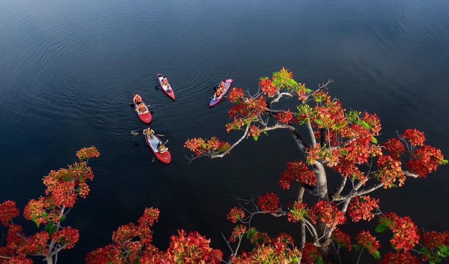 SUP Surfing on Huong River: Admiring Hue from New Angles SUP Surfing on Huong River: Admiring Hue from New Angles