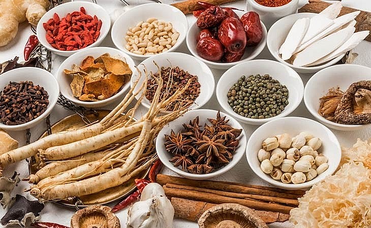 Traditional Medicine in Vietnam's Healthcare System Traditional Medicine in Vietnam's Healthcare System