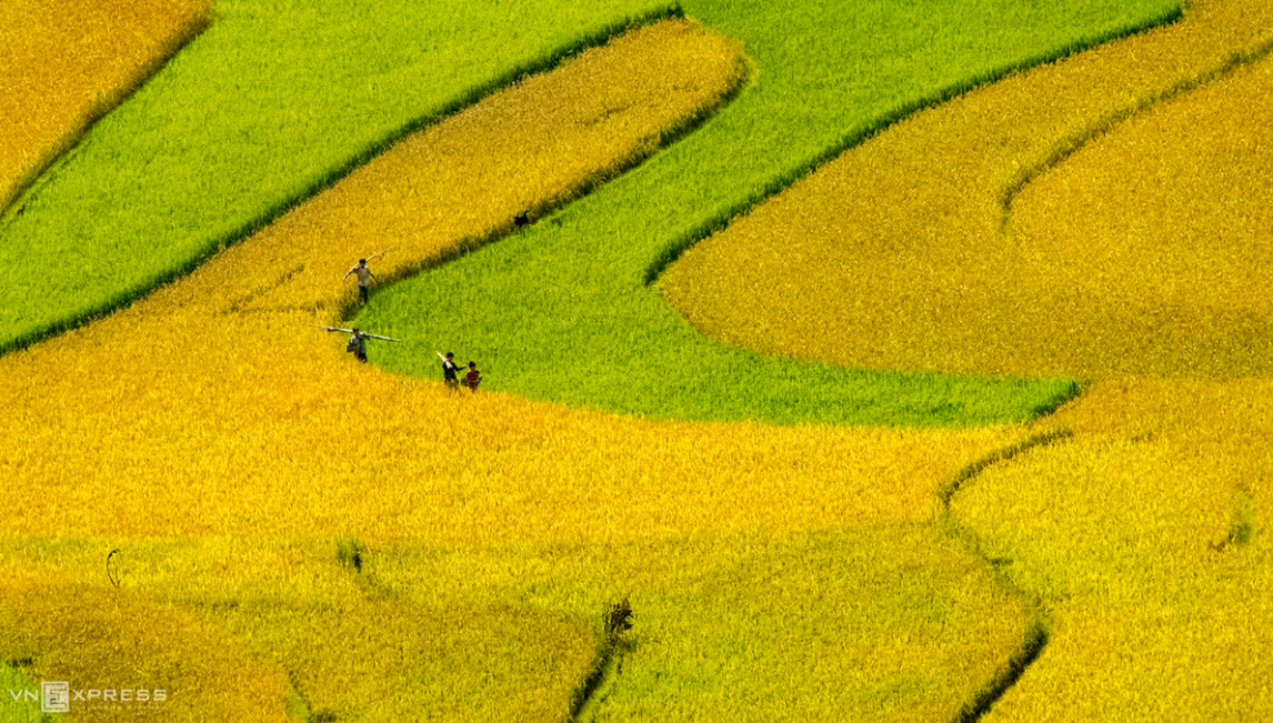 Mountainous harvest in the golden light of autumn Mountainous harvest in the golden light of autumn